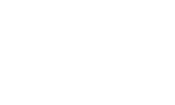 effie logo valkoinen